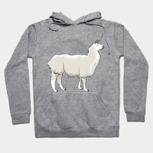 Llamacorn Hoodie